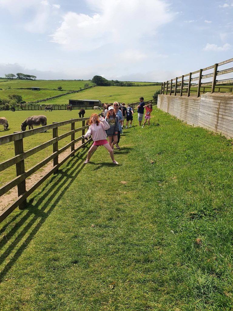 Donkey Sanctuary