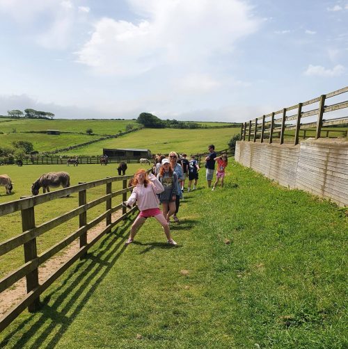 Donkey Sanctuary